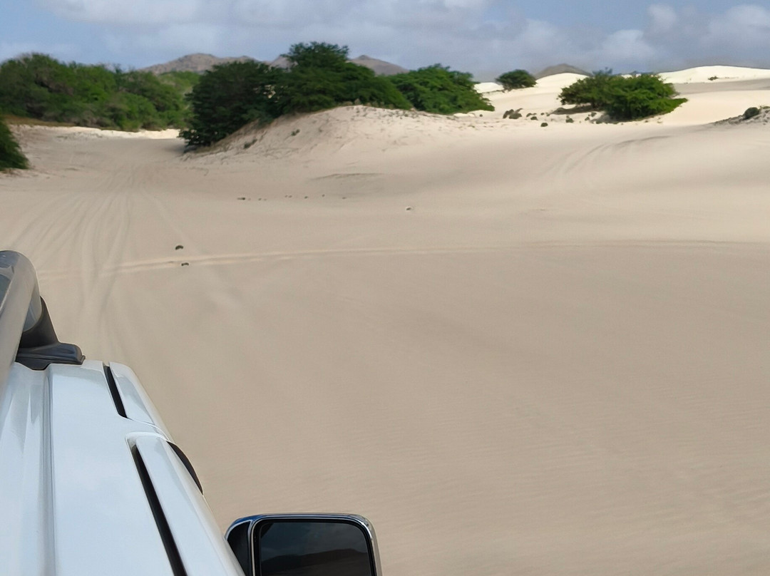 SolaCyberTours-萨尔雷必去景点