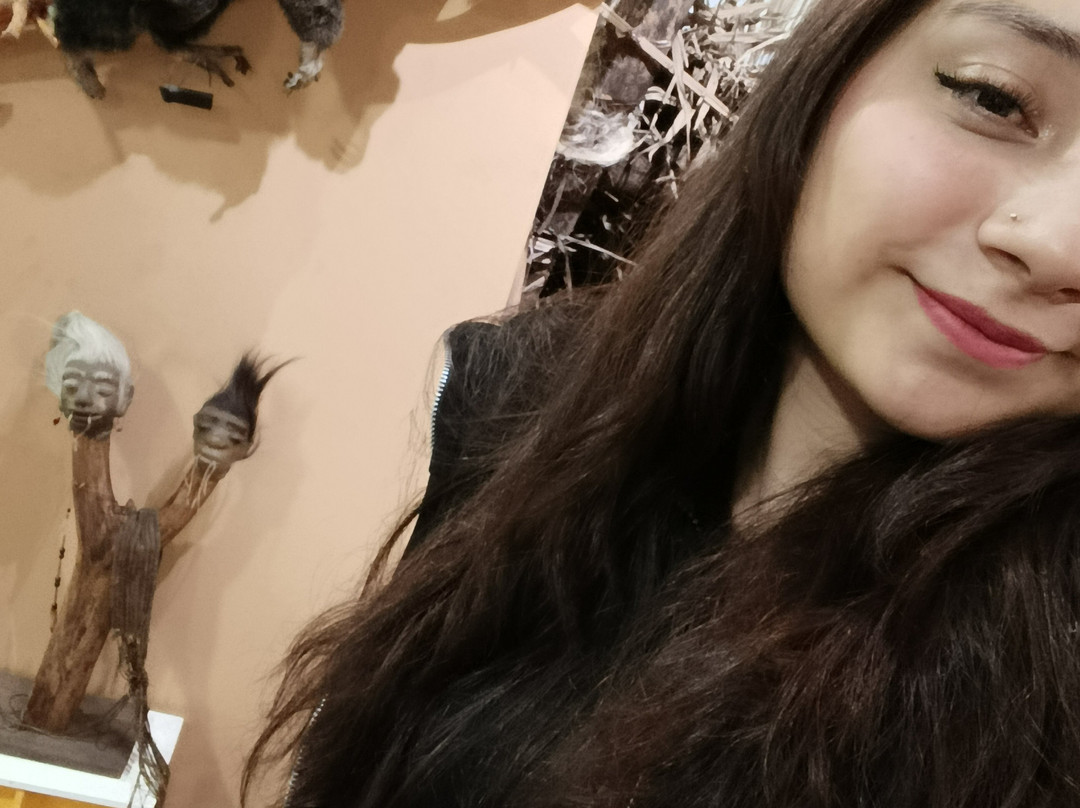 Abya-Yala Museum-基多必去景点