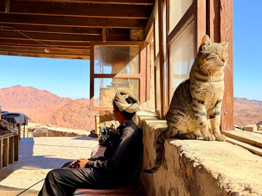 Sinai Hikes-圣卡特琳娜地区必去景点