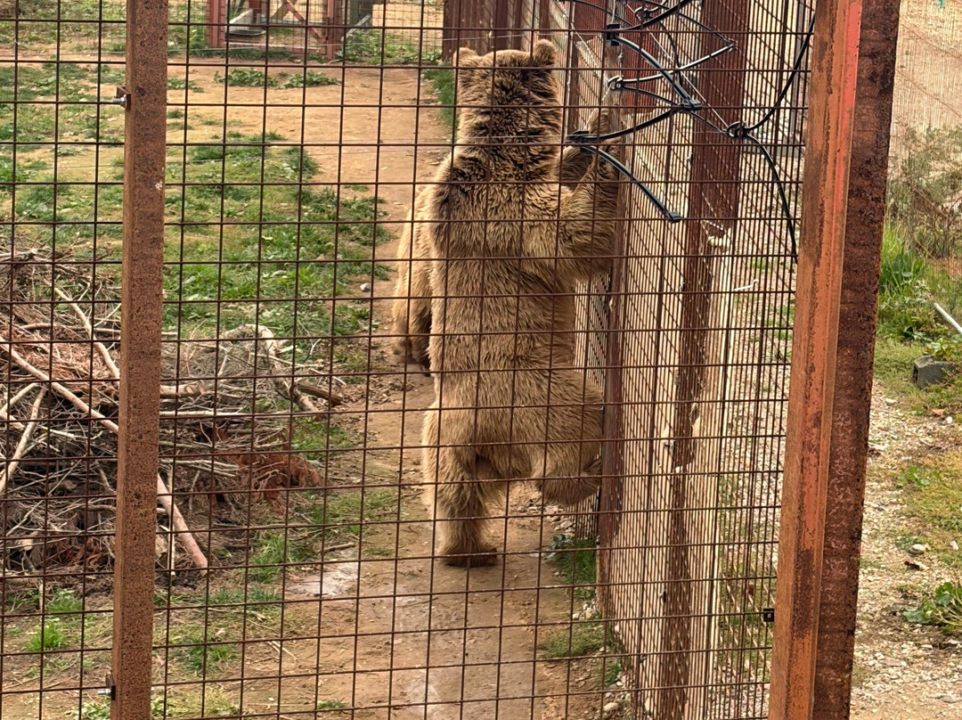 怀特岛动物园-桑当必去景点