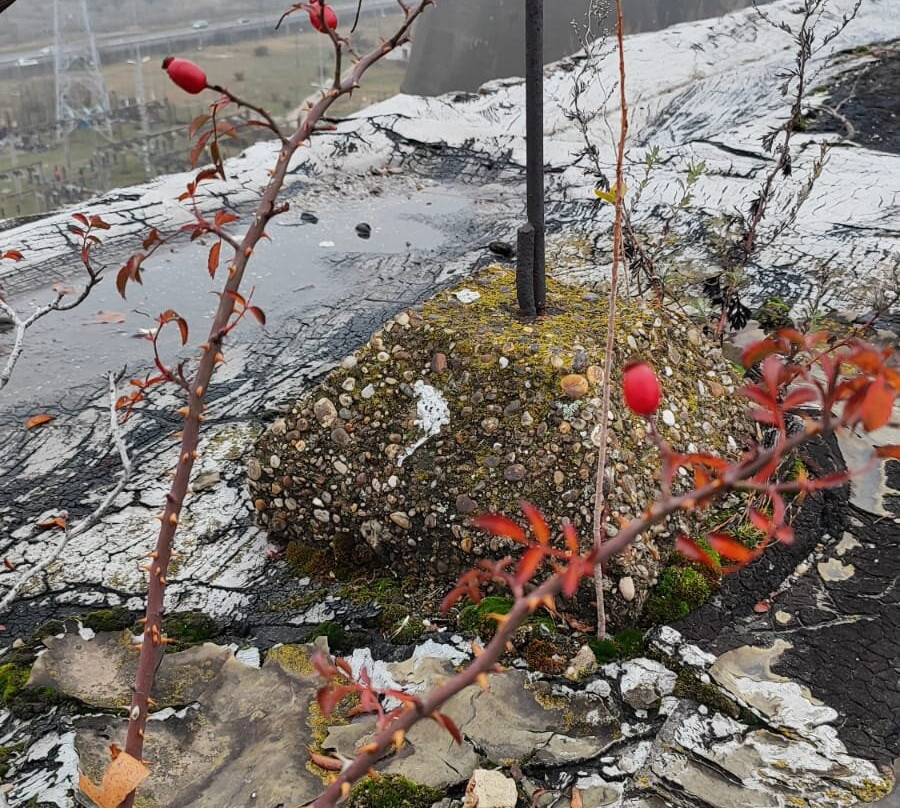 Túrajó-维斯普雷姆必去景点