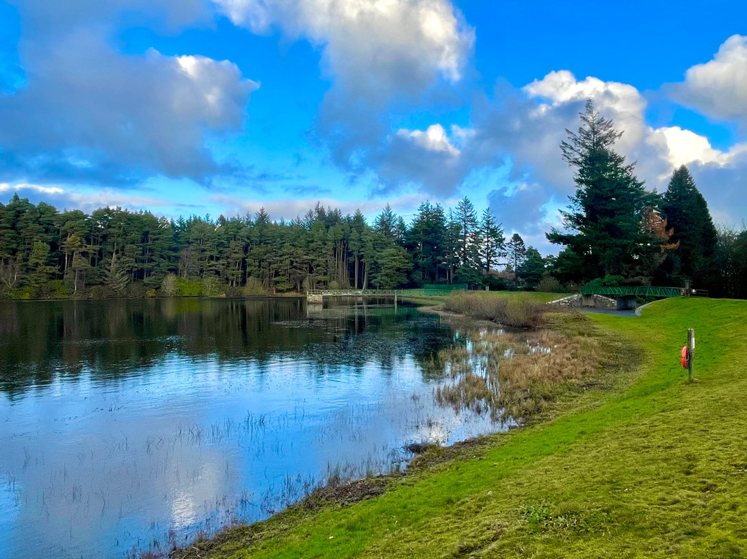 Crombie Country Park-Forfar必去景点