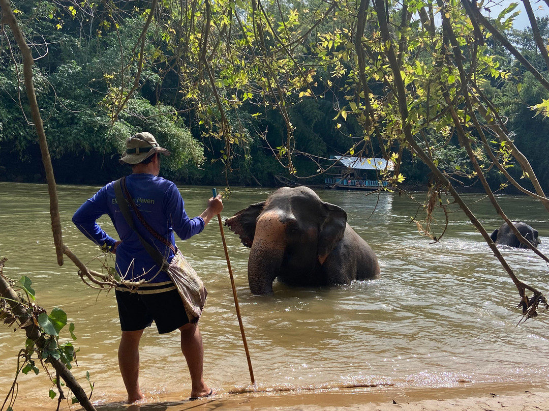 Elephant Haven-柿约必去景点