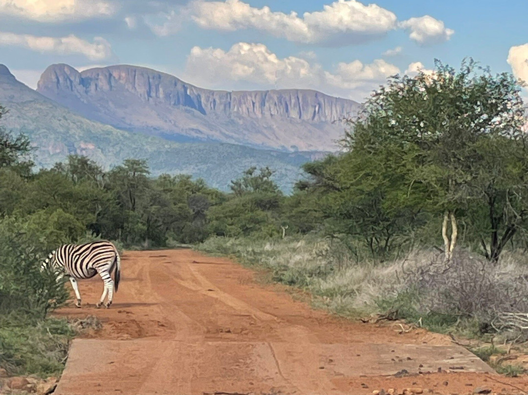 Marakele National Park-水堡必去景点