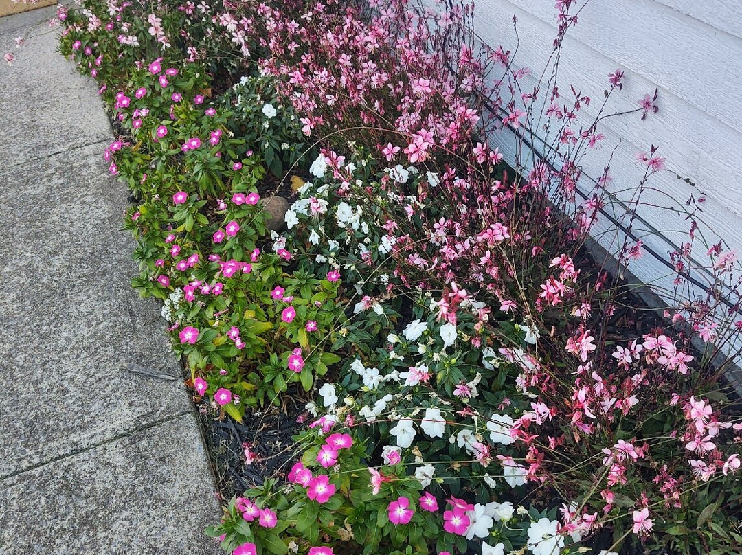 Tibbett's Point Lighthouse-Cape Vincent必去景点