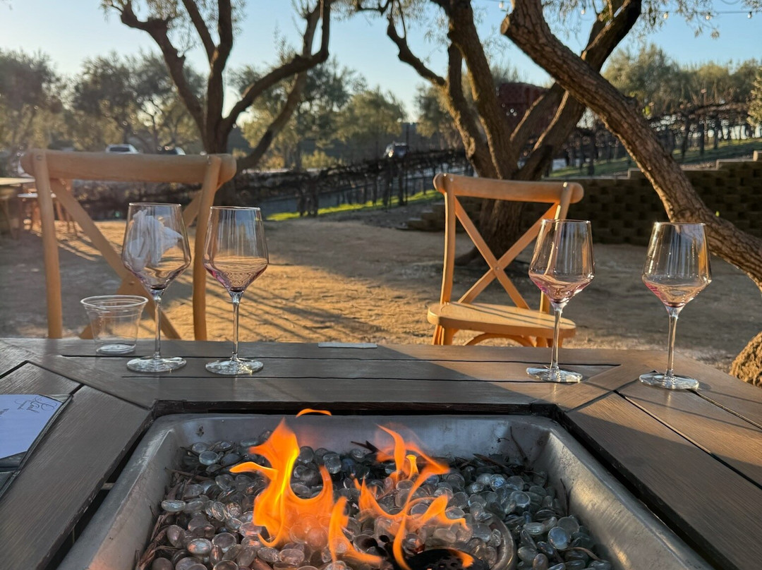 Leal Vineyards-霍利斯特必去景点