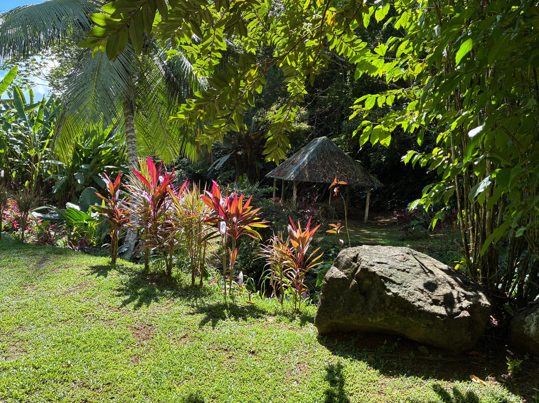 Banana Museum (Le Musee de la Banane)-马提尼克必去景点