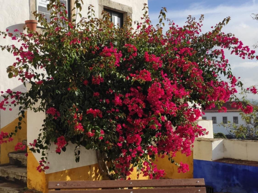 Rua Direita-奥比都斯必去景点