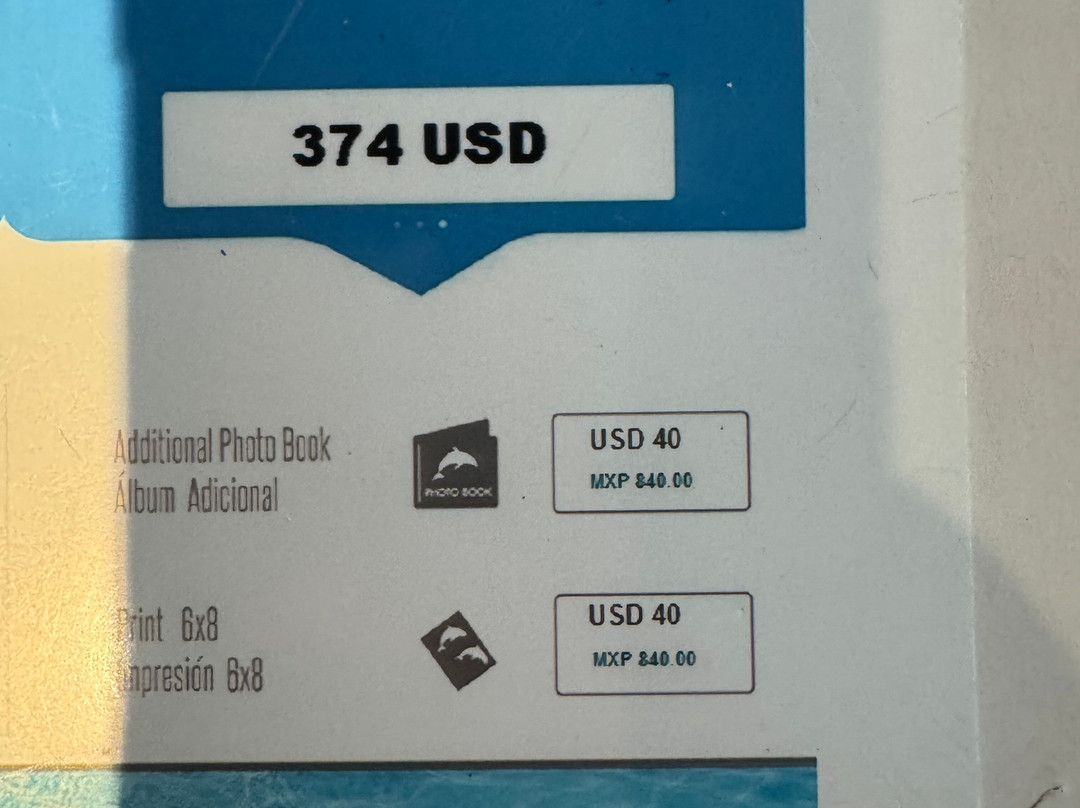 Dolphin Discovery Los Cabos-圣何塞卡波必去景点