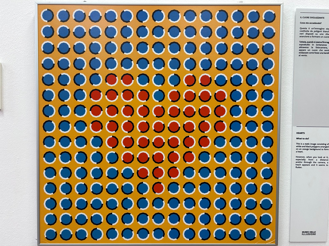 Museo Delle Illusioni Roma-罗马必去景点