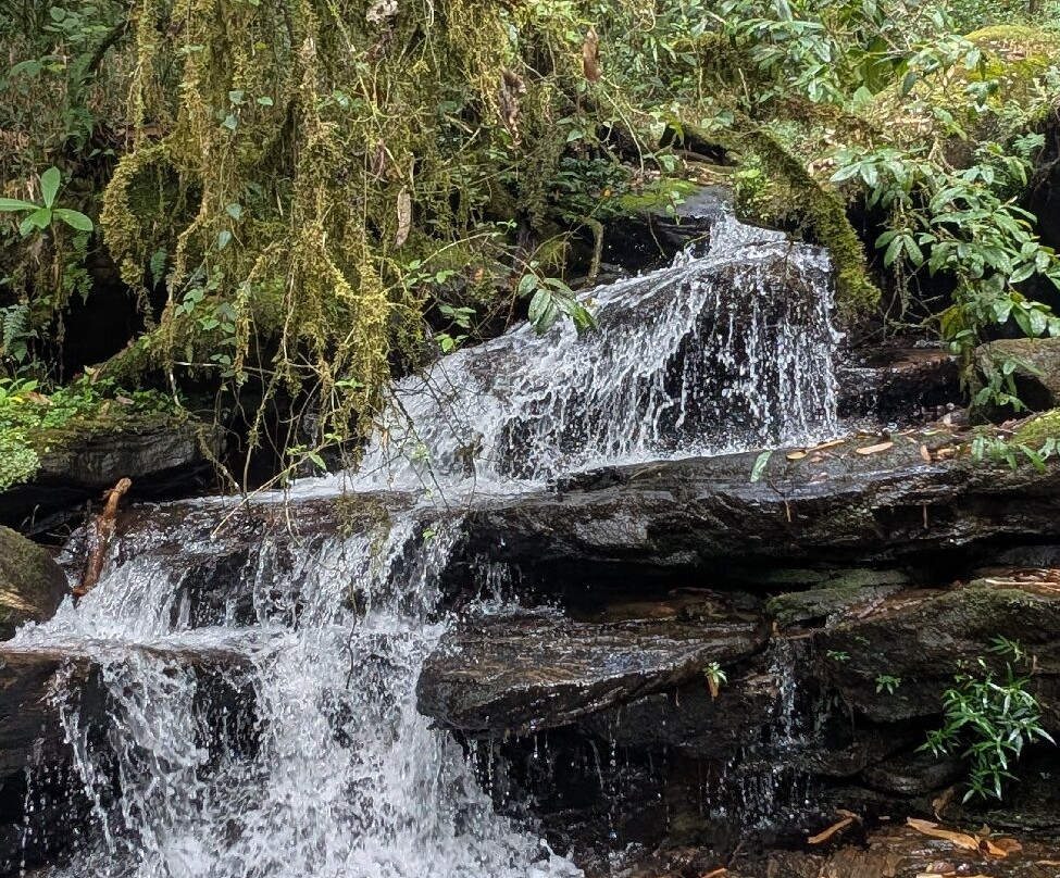 Ranomafana National Park-Fianarantsoa必去景点