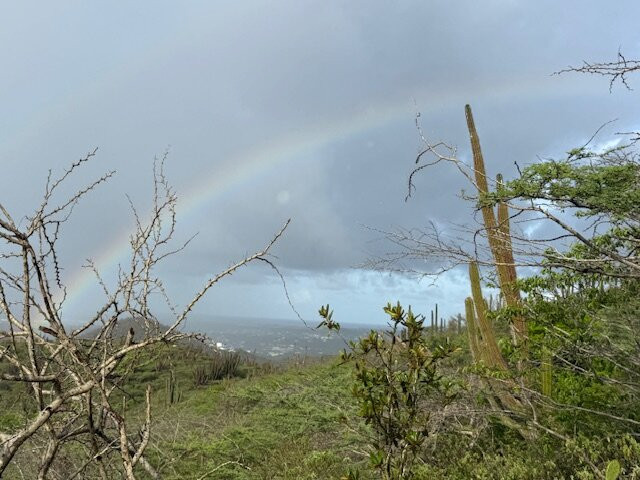 Fins & Feet Nature Tours-阿鲁巴岛必去景点