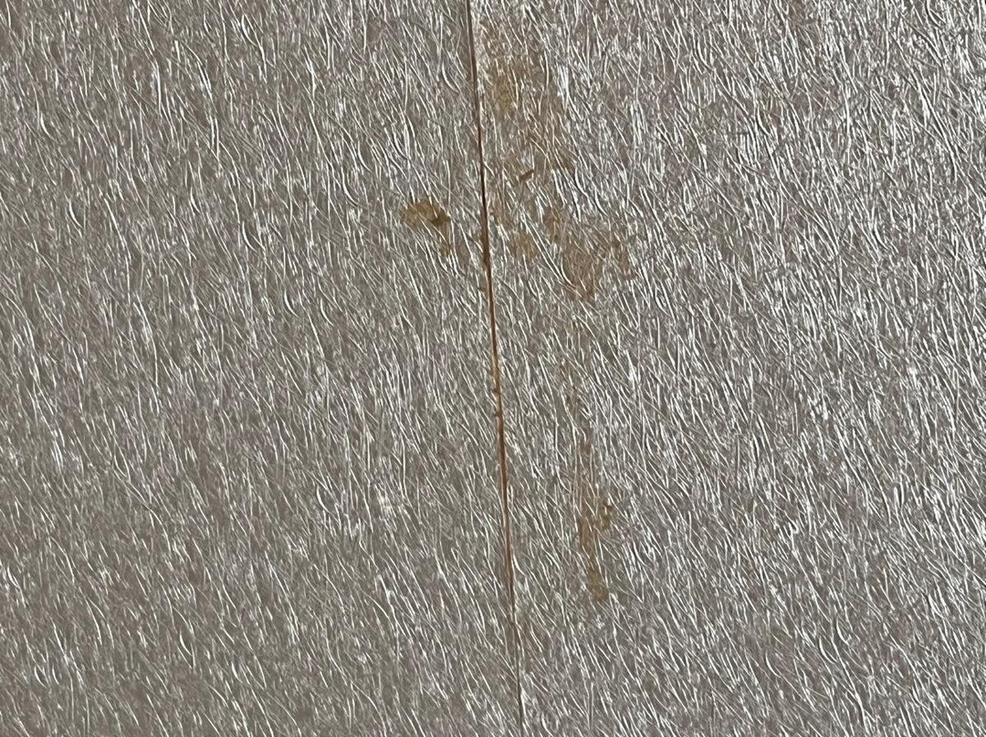 Melia Dunas Beach Resort & Spa主图