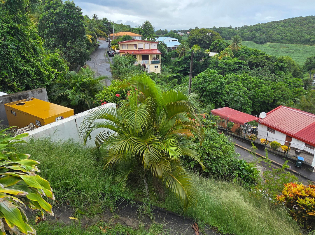 Hotel Le Manguier主图
