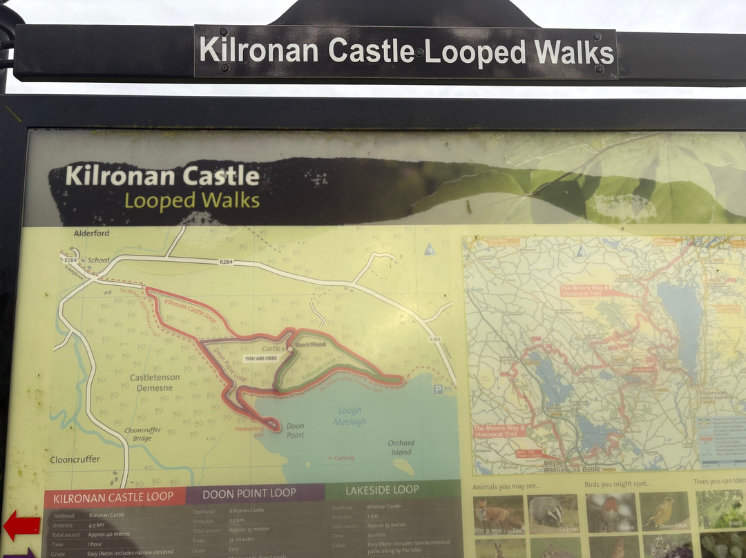 Ireland Travel Links-Ballybunion必去景点