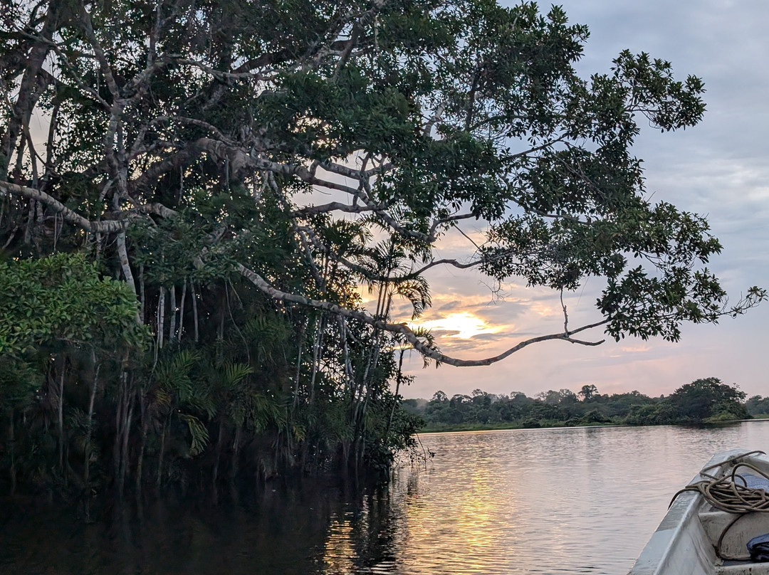 Parque Nacional del Yasuni - Fernando guia en la Amazonia-Coca必去景点