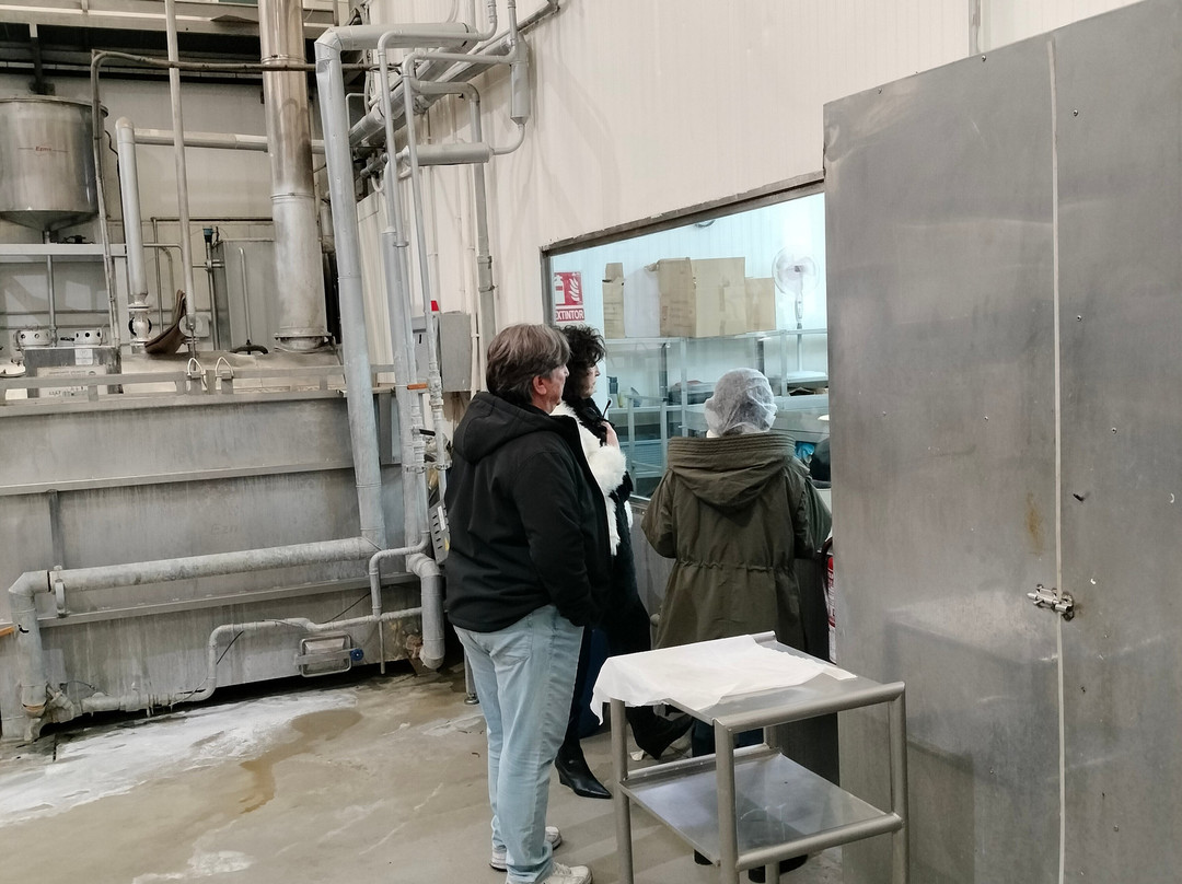 Galería de Arte de la Anchoa-Santona必去景点