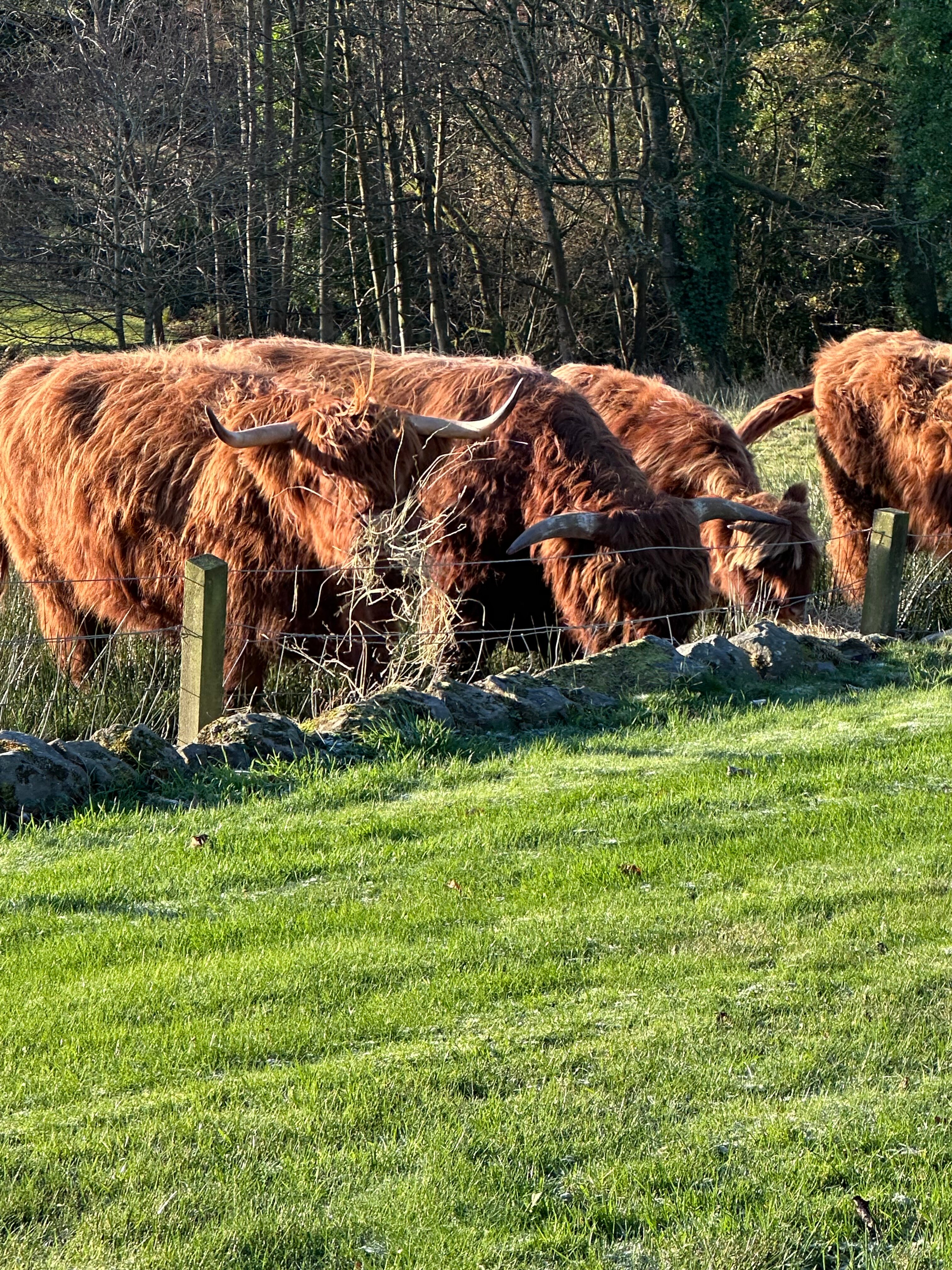 Balmule House-官方