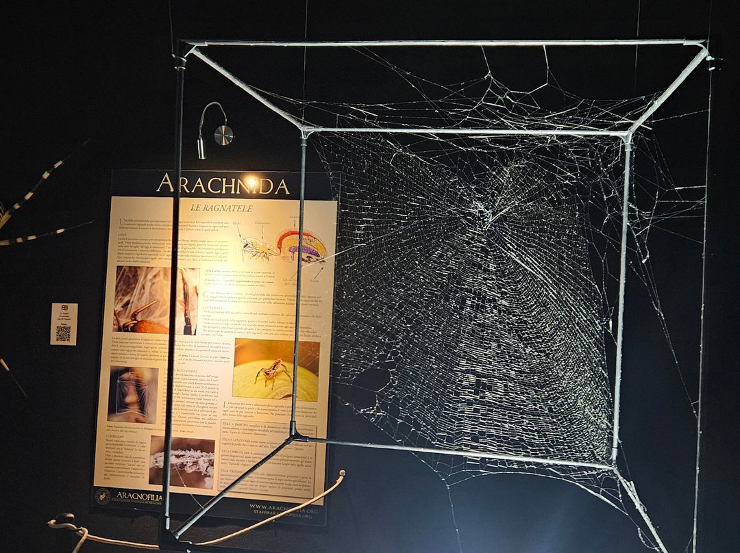 Citta Della Scienza-那不勒斯必去景点