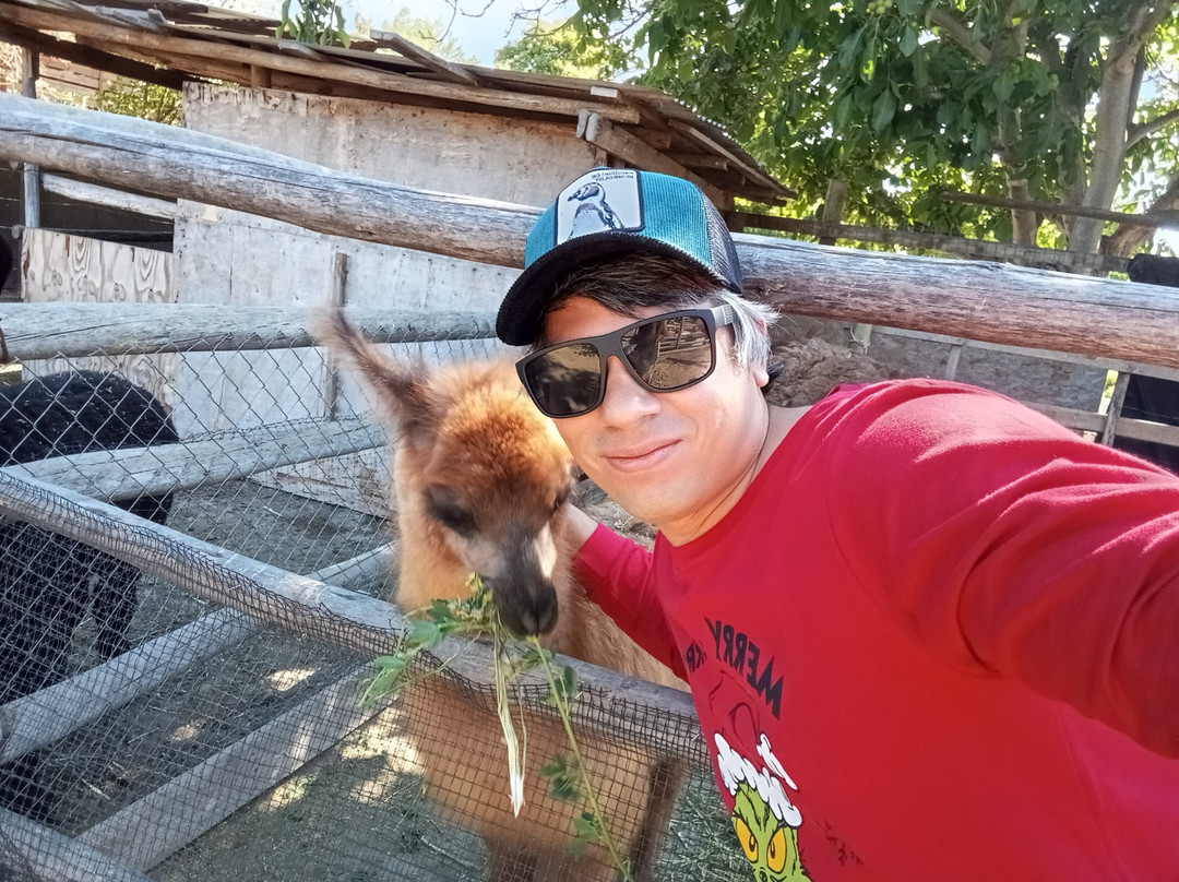 Campo La Quirinca-Isla de Maipo必去景点