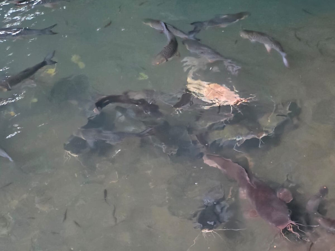 Thapom Klong Song Nam-甲米府必去景点