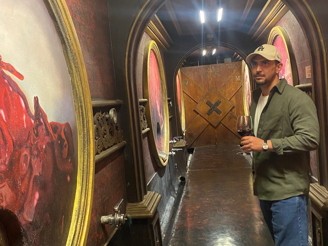 Bodega Los Toneles-门多萨必去景点