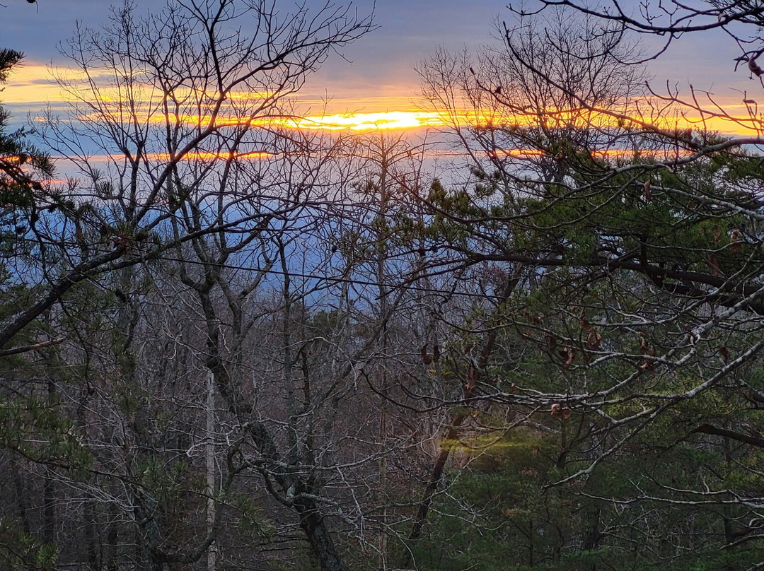 Cheaha Mountain State Park-Delta必去景点