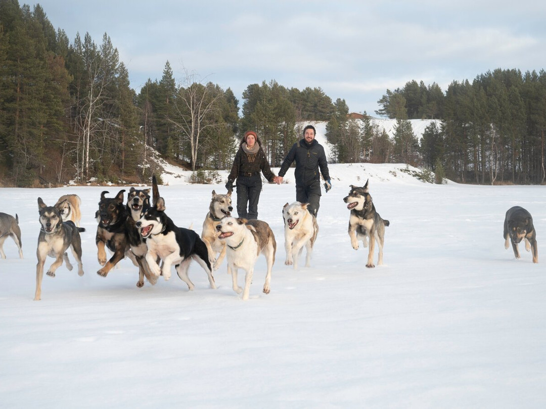Bohemian Lucky Bastards-Jukkasjarvi必去景点
