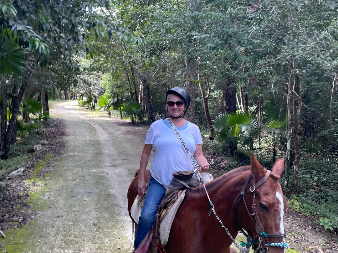 Boca Del Puma-从莫雷洛斯港必去景点