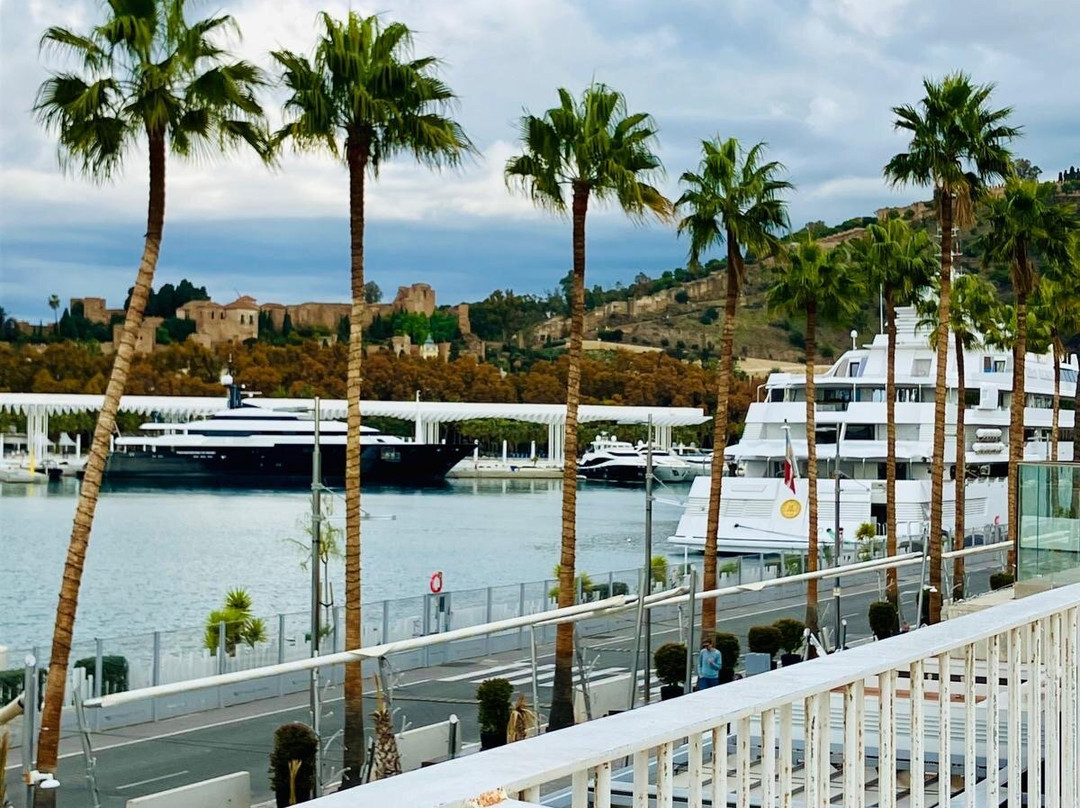 Palmeral de las Sorpresas-马拉加必去景点