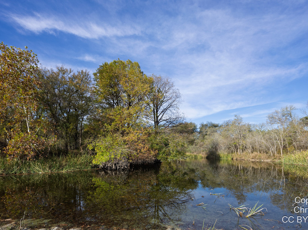 McKinney Falls State Park-奥斯丁必去景点