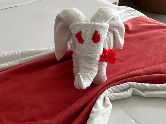 Hotel Gran Muthu Imperial