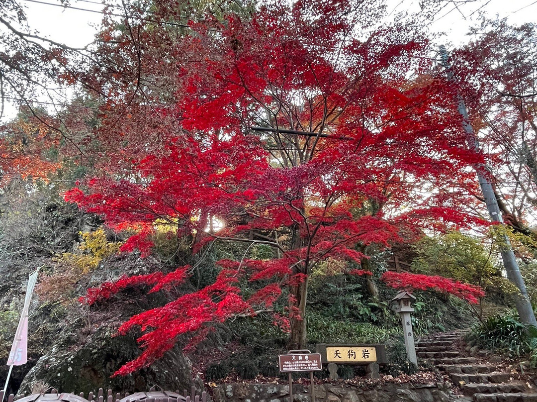 Karasawayama Castle Ruins-佐野市必去景点