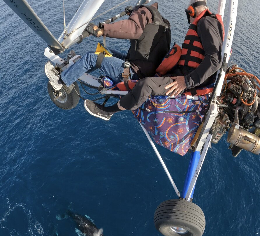 Cabo Sky Tours-卡波圣卢卡斯必去景点