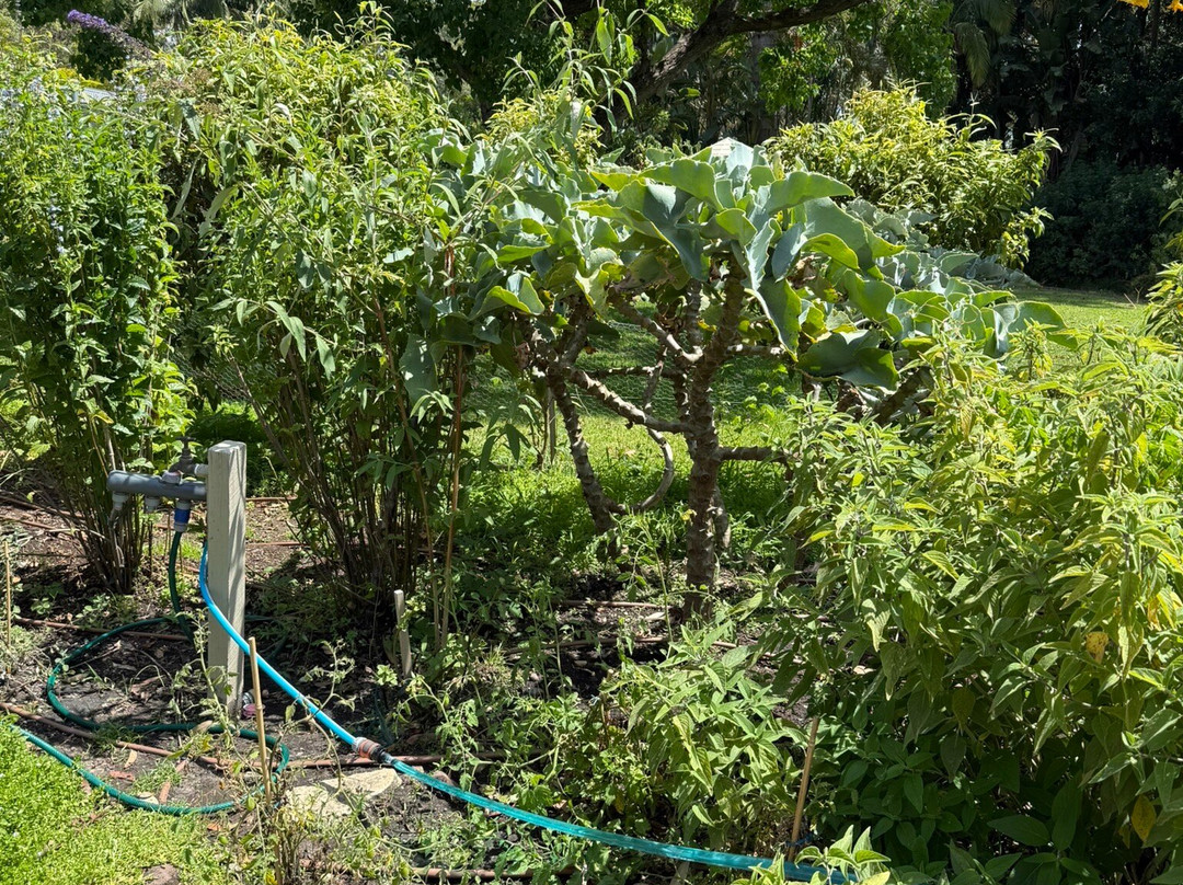 Distillery Botanica-Erina必去景点