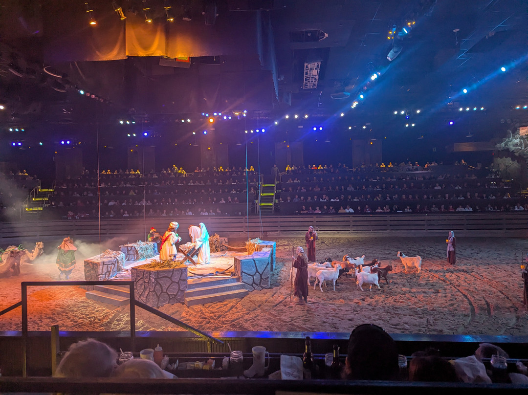 马术歌舞表演餐宴-皮金福奇必去景点