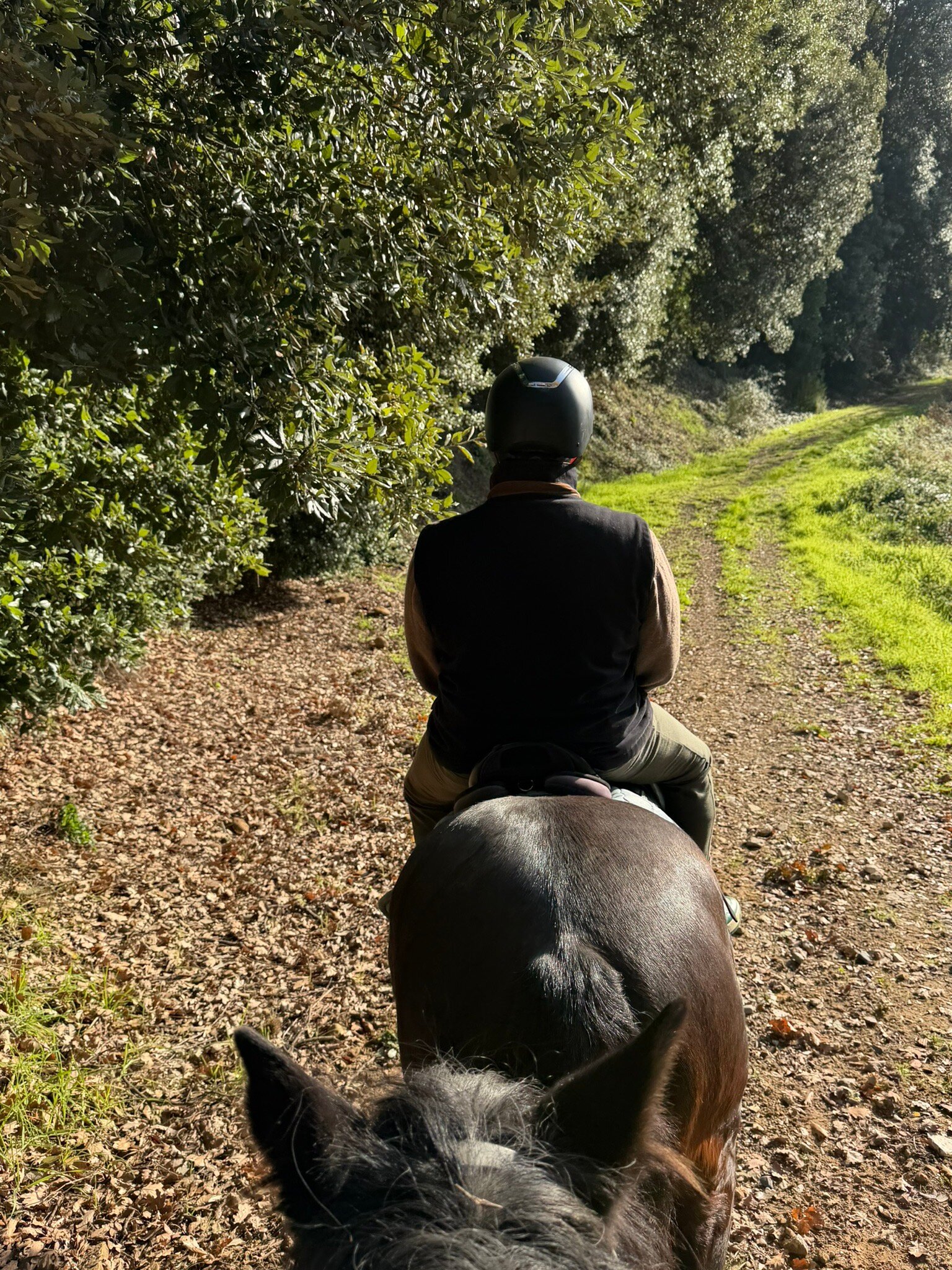 Il Borro Relais & Châteaux-官方