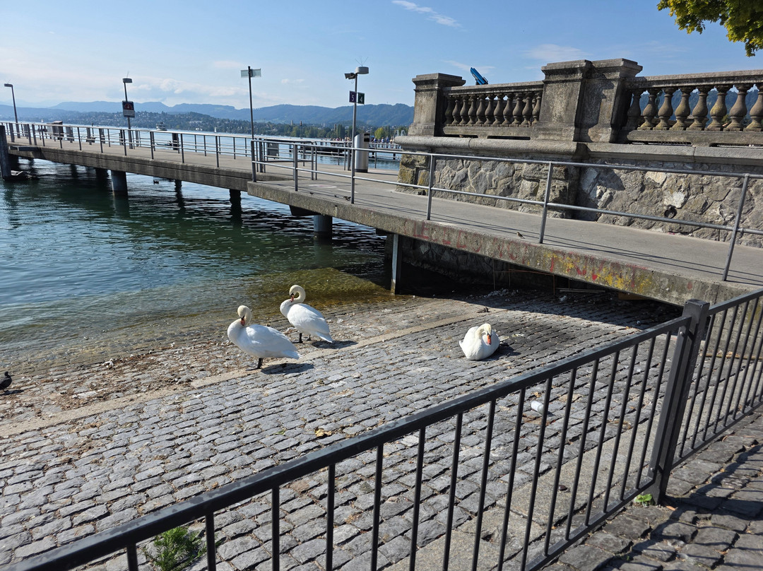 Bürkliplatz-苏黎世必去景点