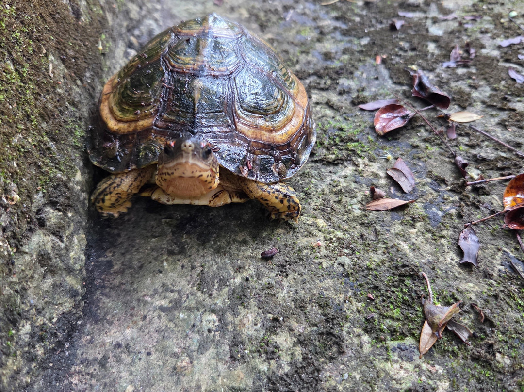 DANTA TOURS-Xpujil Town必去景点