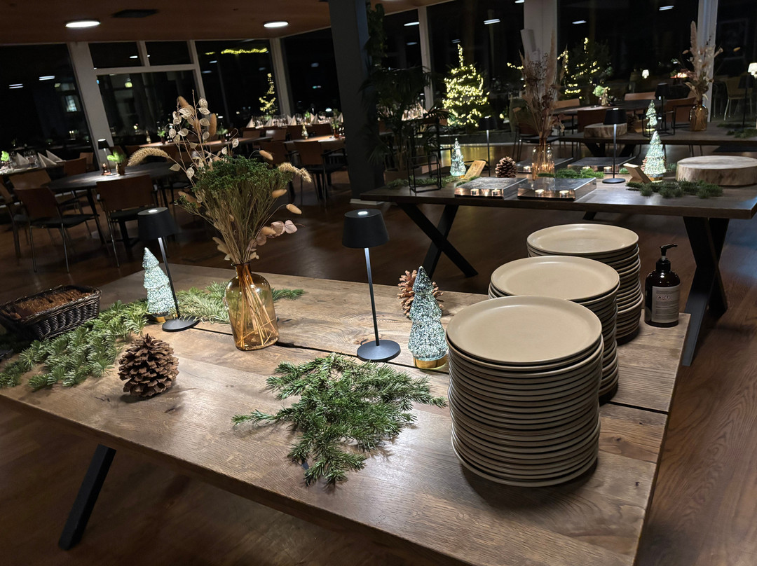 费德瑞克斯达尔斯纳图酒店主图