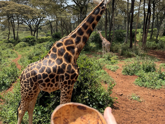 Across Africa Tours LLC-纽瓦克必去景点