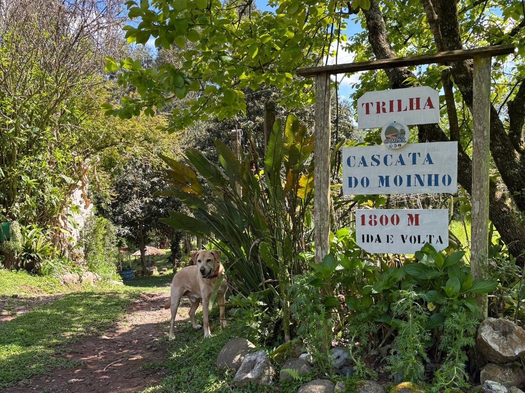 Cascata do Moinho-Progresso必去景点