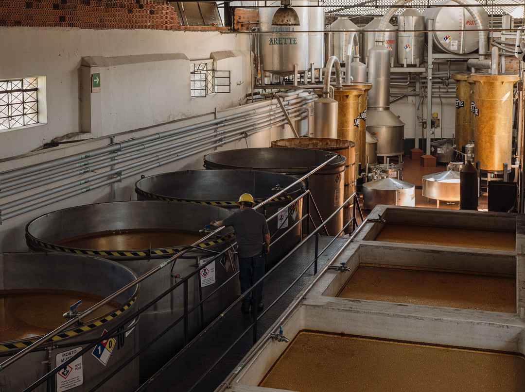 Tequila Arette-特基拉必去景点