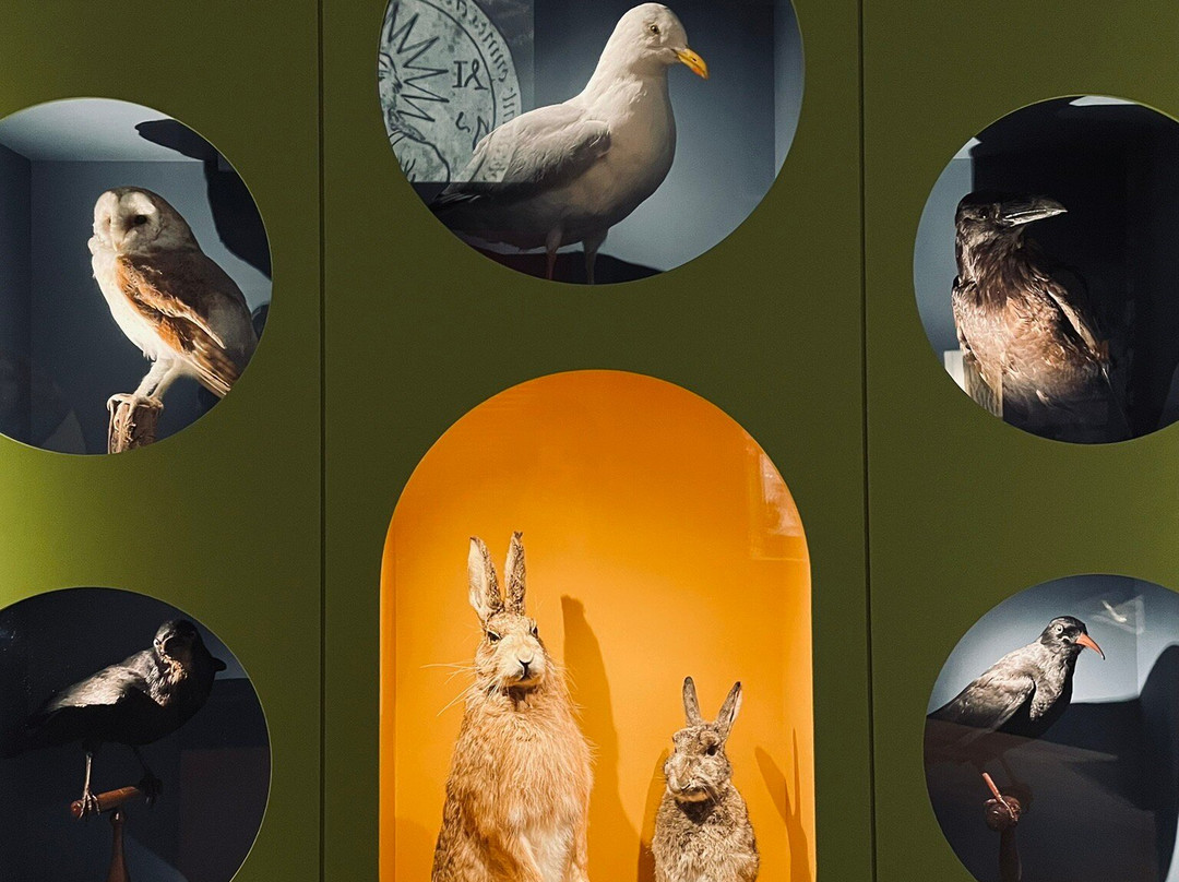 Guernsey Museum-St Peter Port必去景点