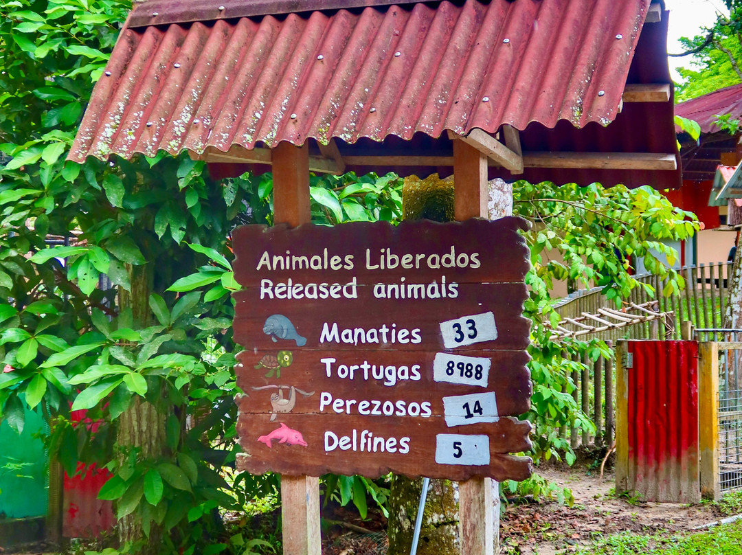 Amazon Rescue Center-伊基托斯必去景点