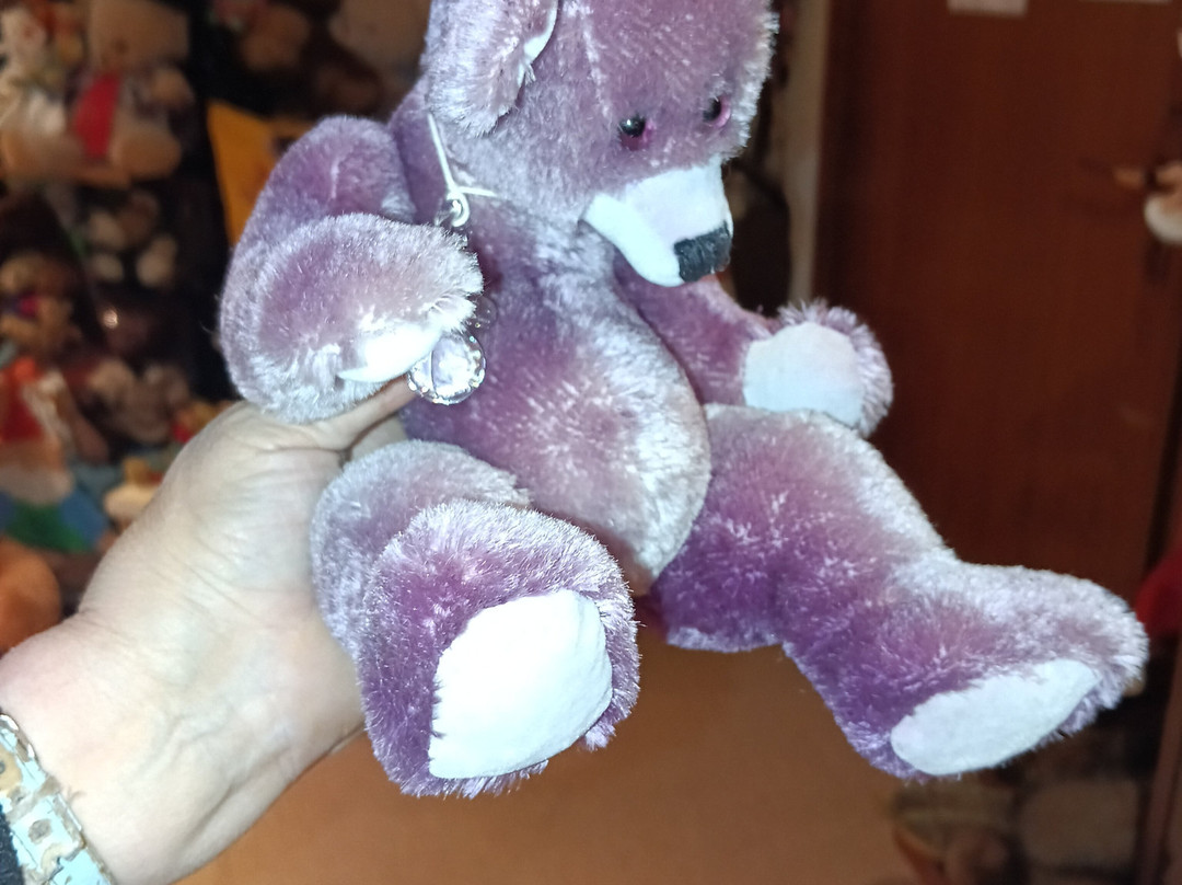 Teddy Und Puppenmuseum-Steinheim必去景点