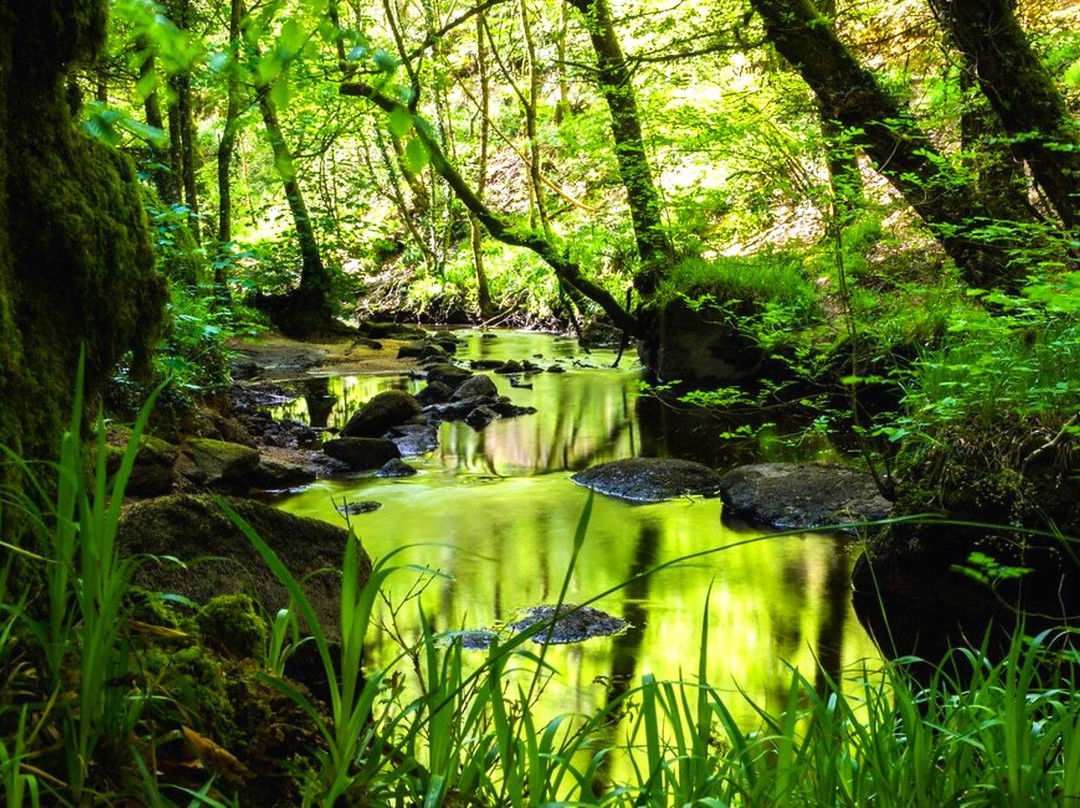 Foret de Huelgoat-Huelgoat必去景点