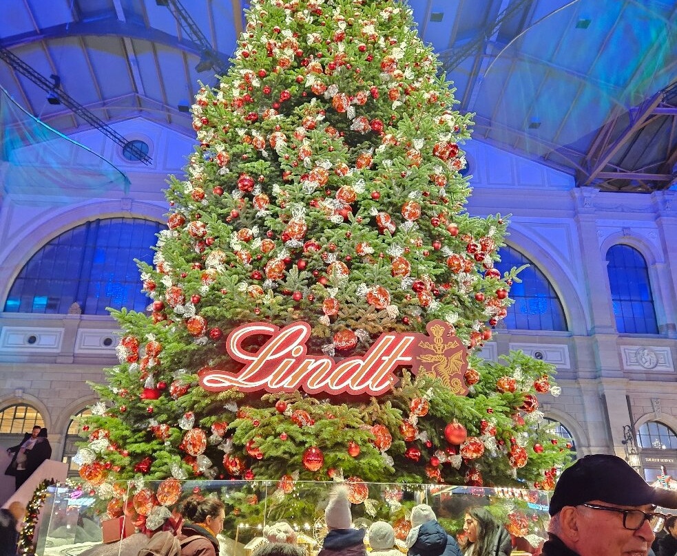 Echo Rails-卢塞恩必去景点