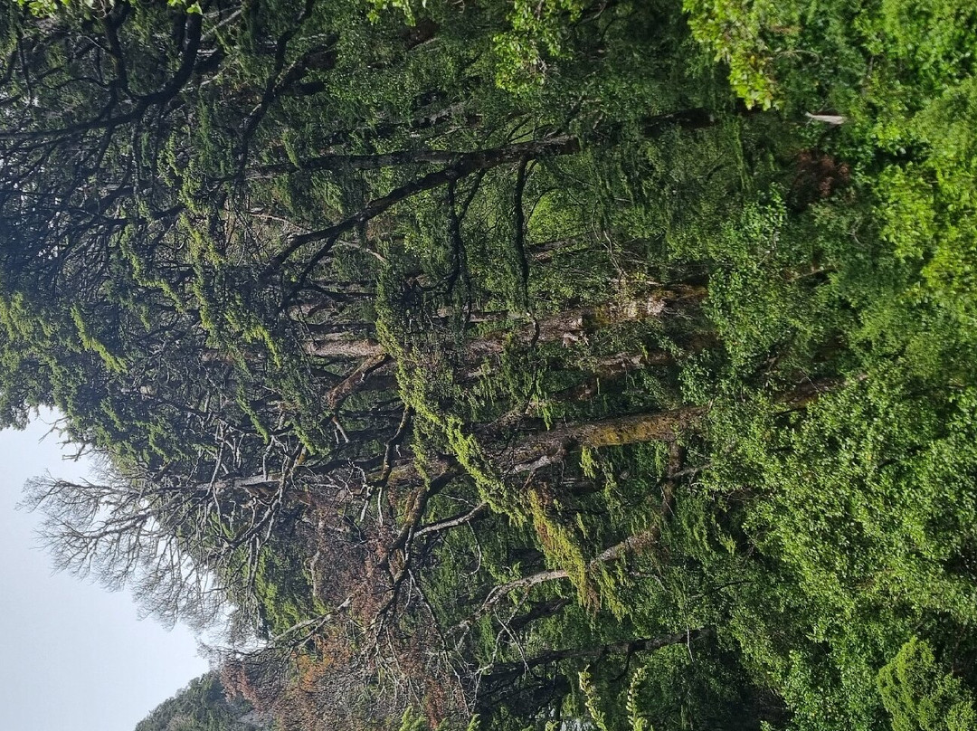 Devils Punchbowl Walking Track-亚瑟隘口国家公园必去景点