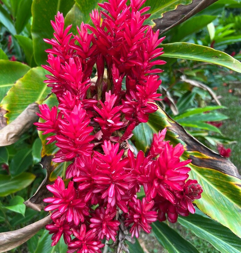 Cuba Travel Adventures Group-Tiburon必去景点